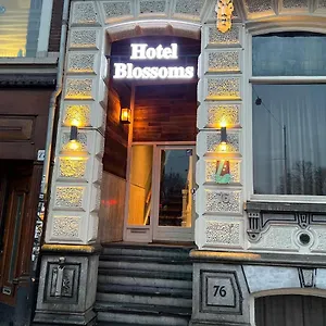 Blossoms 2*, Amsterdam Paesi Bassi